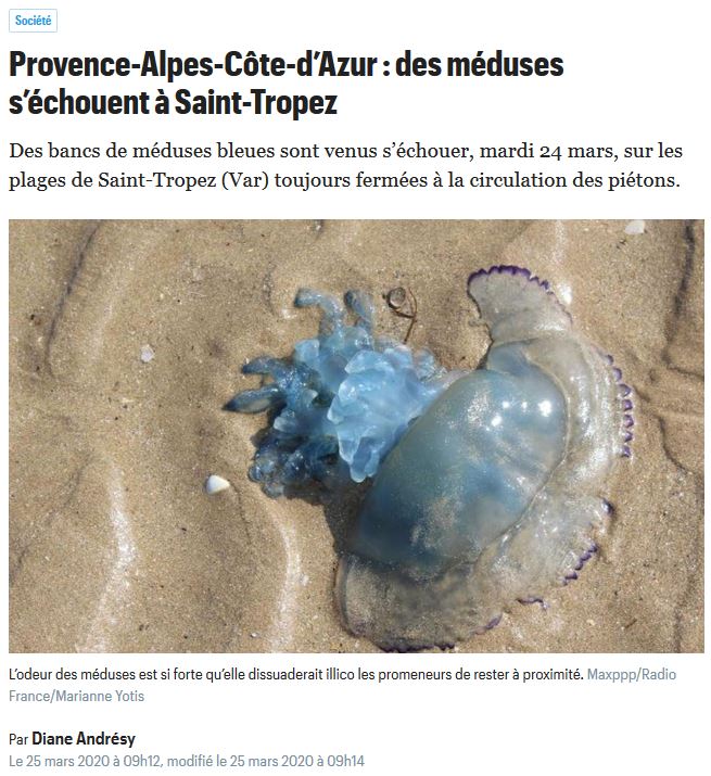 Le Parisien